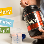 Whey Protein là gì? Tại sao gymer nào cũng nên dùng đạm Whey?